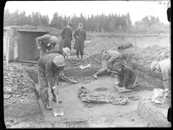 Zdjęcie z wystawy archeologicznej w Muzeum Śląska Opolskiego