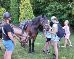 Piknik rodzinny Piaskownica w Długomiłowicach