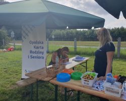 Piknik rodzinny z cyklu "Piaskownica" zorganizowany przez ROPS w Opolu - 2.09.2023 w Lasowicach Wielkich